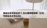 微信公众号粉丝多了,怎么赚钱呢视频（公众号粉丝太少怎么办）