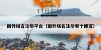 国外域名注册平台（国外域名注册哪个便宜）