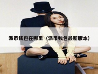 派币钱包在哪里（派币钱包最新版本）