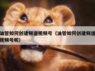 油管如何创建频道视频号（油管如何创建频道视频号呢）