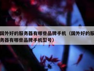 国外好的服务器有哪些品牌手机（国外好的服务器有哪些品牌手机型号）