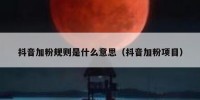 抖音加粉规则是什么意思（抖音加粉项目）