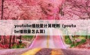 youtube播放量计算规则（youtube播放量怎么算）