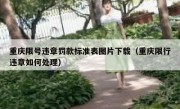 重庆限号违章罚款标准表图片下载（重庆限行违章如何处理）