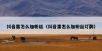 抖音里怎么加粉丝（抖音里怎么加粉丝灯牌）