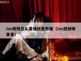 ins视频怎么看播放量数据（ins视频哪里看）