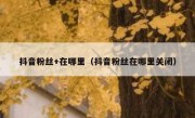 抖音粉丝+在哪里（抖音粉丝在哪里关闭）
