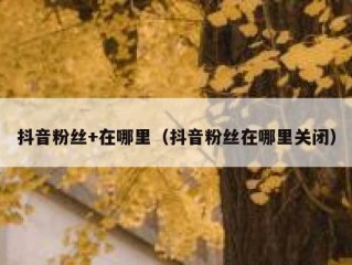 抖音粉丝+在哪里（抖音粉丝在哪里关闭）