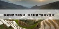 国外域名注册网址（国外域名注册网址查询）