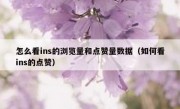 怎么看ins的浏览量和点赞量数据（如何看ins的点赞）