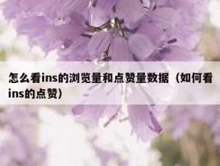 怎么看ins的浏览量和点赞量数据（如何看ins的点赞）