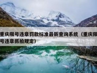 重庆限号违章罚款标准最新查询系统（重庆限号违章抓拍规定）