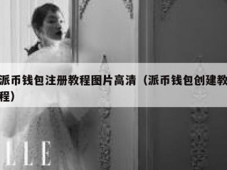 派币钱包注册教程图片高清（派币钱包创建教程）