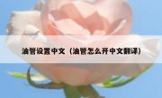油管设置中文（油管怎么开中文翻译）