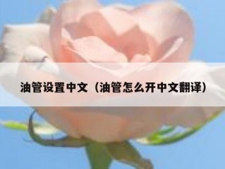 油管设置中文（油管怎么开中文翻译）