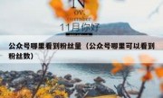 公众号哪里看到粉丝量（公众号哪里可以看到粉丝数）
