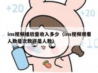 ins视频播放量收入多少（ins视频观看人数是次数还是人数）