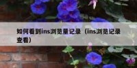 如何看到ins浏览量记录（ins浏览记录查看）