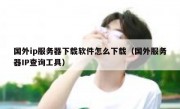 国外ip服务器下载软件怎么下载（国外服务器IP查询工具）