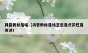 抖音粉丝是啥（抖音粉丝是啥意思是点赞还是关注）