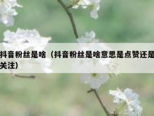抖音粉丝是啥（抖音粉丝是啥意思是点赞还是关注）