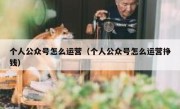 个人公众号怎么运营（个人公众号怎么运营挣钱）