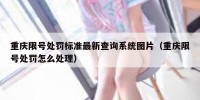 重庆限号处罚标准最新查询系统图片（重庆限号处罚怎么处理）