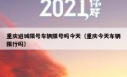 重庆进城限号车辆限号吗今天（重庆今天车辆限行吗）