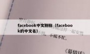 facebook中文别称（facebook的中文名）