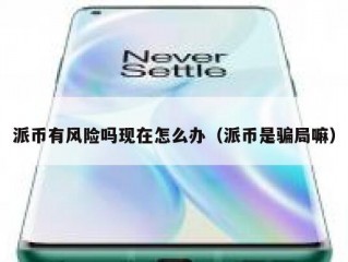 派币有风险吗现在怎么办（派币是骗局嘛）