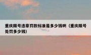 重庆限号违章罚款标准是多少钱啊（重庆限号处罚多少钱）