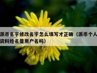 派币名字修改名字怎么填写才正确（派币个人资料姓名是用户名吗）