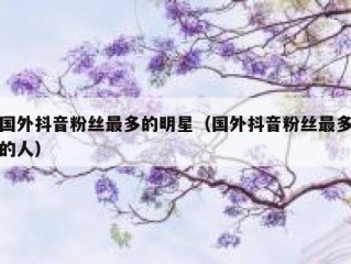 国外抖音粉丝最多的明星（国外抖音粉丝最多的人）