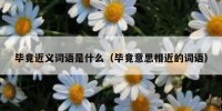 毕竟近义词语是什么（毕竟意思相近的词语）