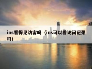ins看得见访客吗（ins可以看访问记录吗）