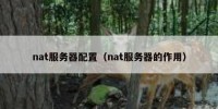 nat服务器配置（nat服务器的作用）
