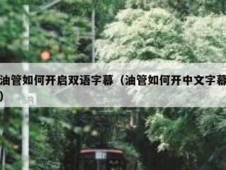 油管如何开启双语字幕（油管如何开中文字幕）