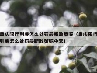 重庆限行到底怎么处罚最新政策呢（重庆限行到底怎么处罚最新政策呢今天）