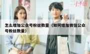 怎么增加公众号粉丝数量（如何增加微信公众号粉丝数量）