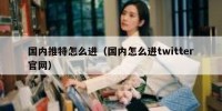 国内推特怎么进（国内怎么进twitter官网）