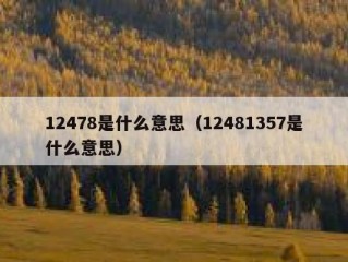 12478是什么意思（12481357是什么意思）