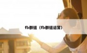 fb群组（fb群组运营）