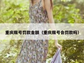 重庆限号罚款金额（重庆限号会罚款吗）
