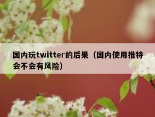 国内玩twitter的后果（国内使用推特会不会有风险）
