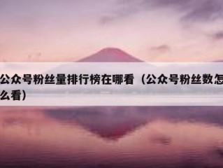 公众号粉丝量排行榜在哪看（公众号粉丝数怎么看）