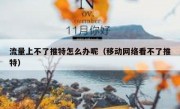 流量上不了推特怎么办呢（移动网络看不了推特）