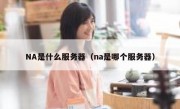 NA是什么服务器（na是哪个服务器）