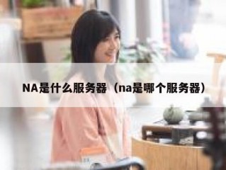 NA是什么服务器（na是哪个服务器）