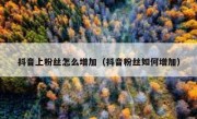 抖音上粉丝怎么增加（抖音粉丝如何增加）