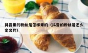 抖音里的粉丝是怎样来的（抖音的粉丝是怎么定义的）